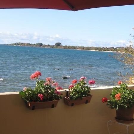 Le Cactus Guesthouse Terre Rouge  Luaran gambar