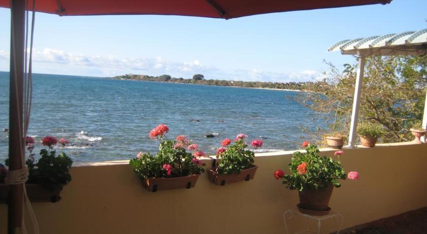 Le Cactus Guesthouse Terre Rouge  Luaran gambar